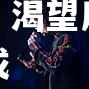 科隆奋起直追，渴望反弹收获三分乐成